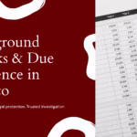GrayCat PI banner on background checks and due diligence in Mexico with magnifying glass over financial spreadsheet.